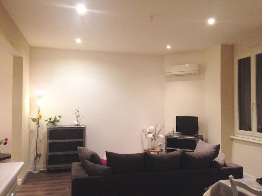 Au Calme Apartment Rodez